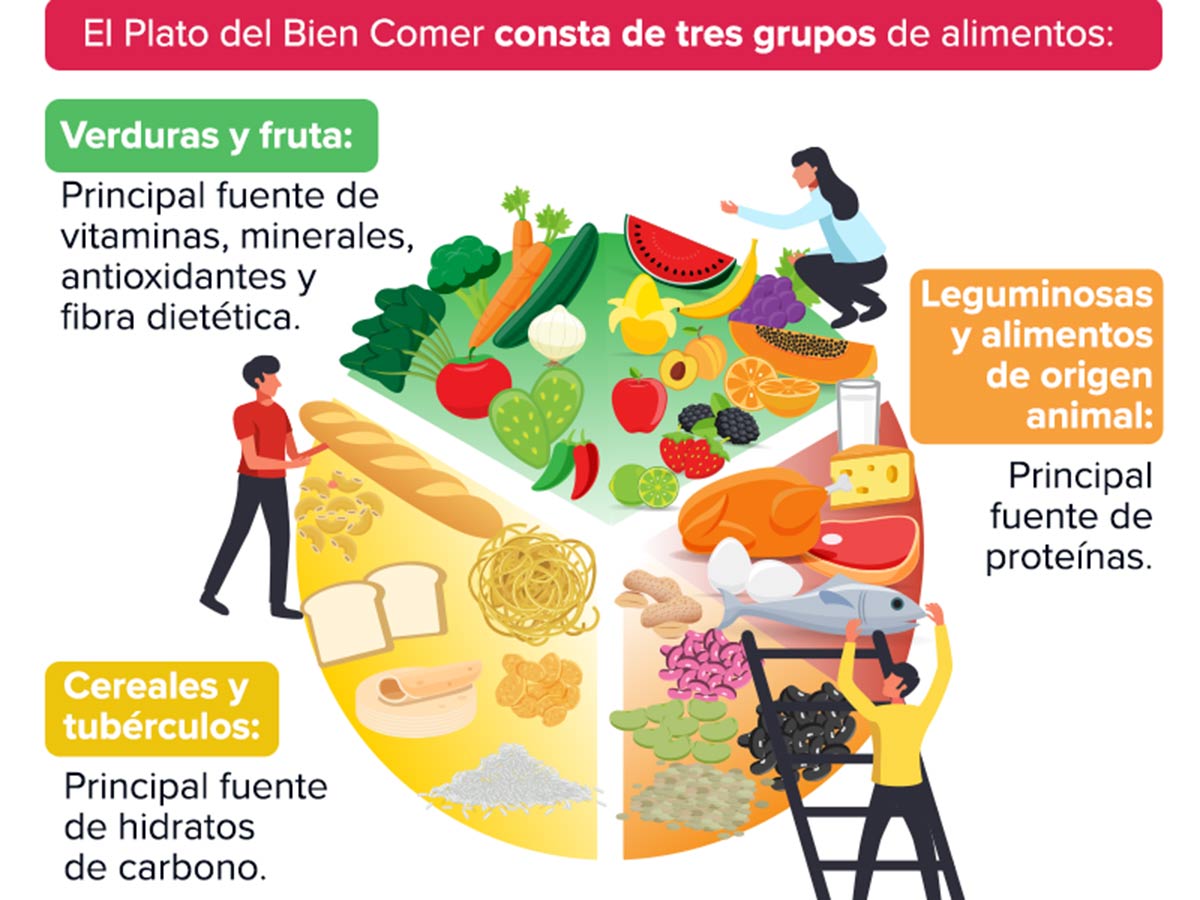 ¿Cómo debe ser el plato del buen comer para niñas y niños?