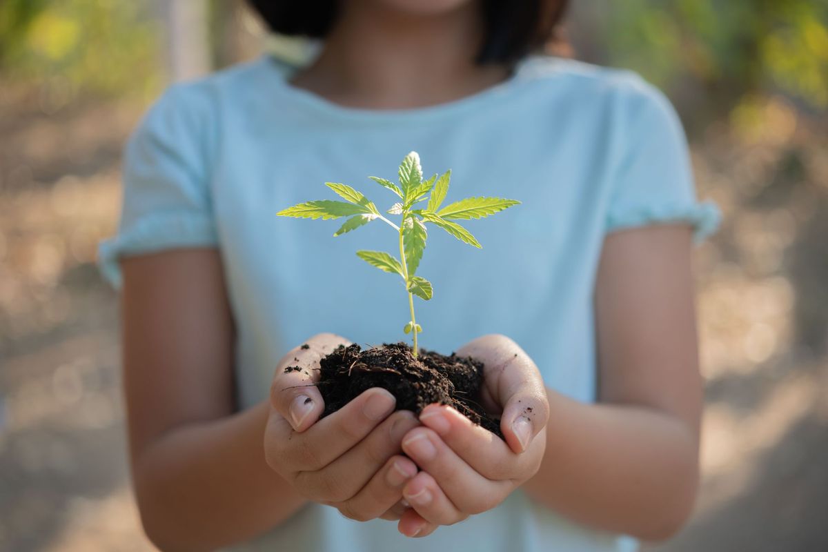 Educar para la protección del medio ambiente