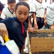 EDUCACIÓN AMBIENTAL