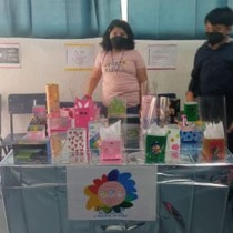 INNOVATION FEST - EMPRENDIMIENTO