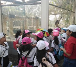 Visita al Museo del Faro Colegio San Ángel Coatzacoalcos